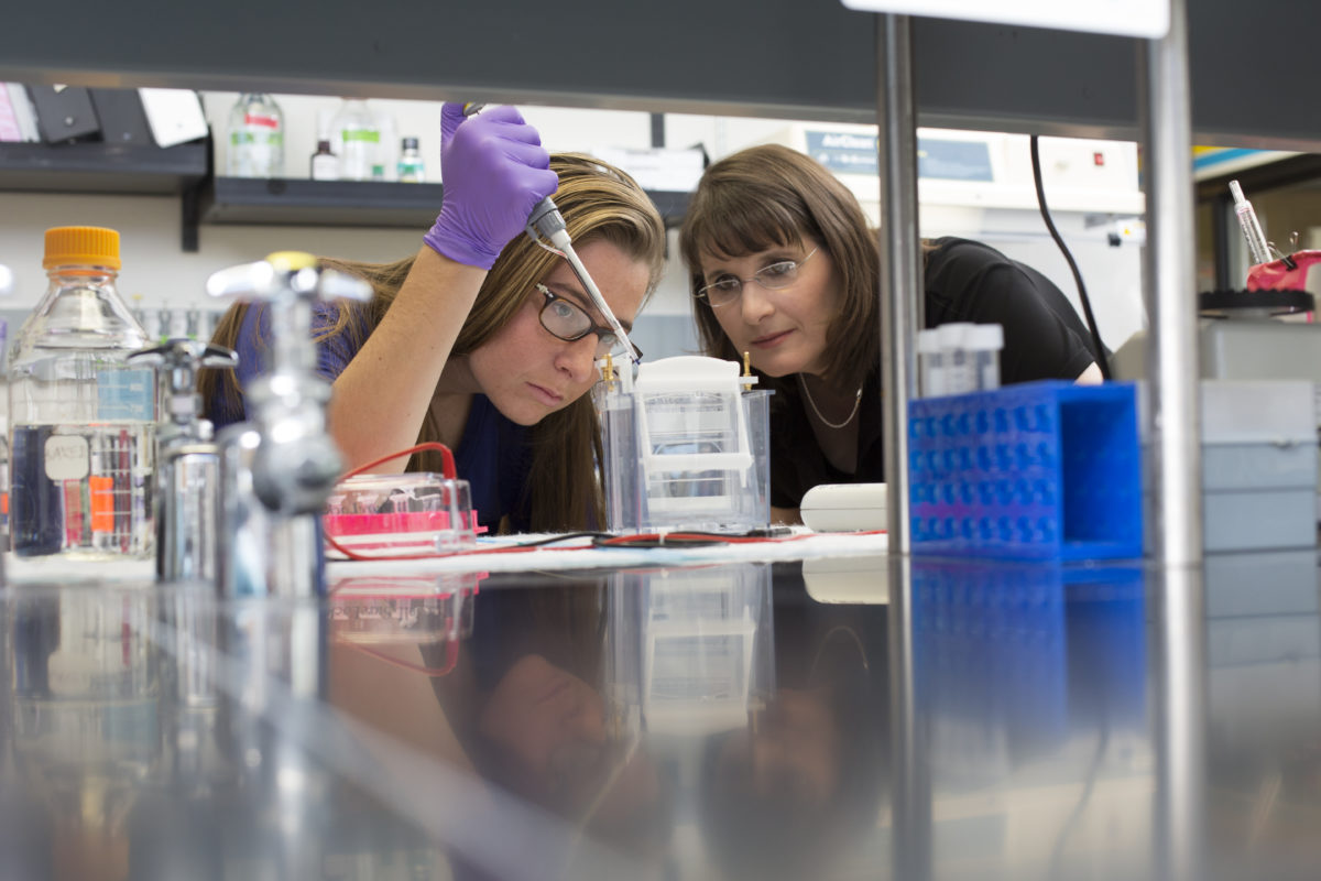 Flinn Scholar Lizzie Hannah, interning at the Critical Path Institute in Tucson