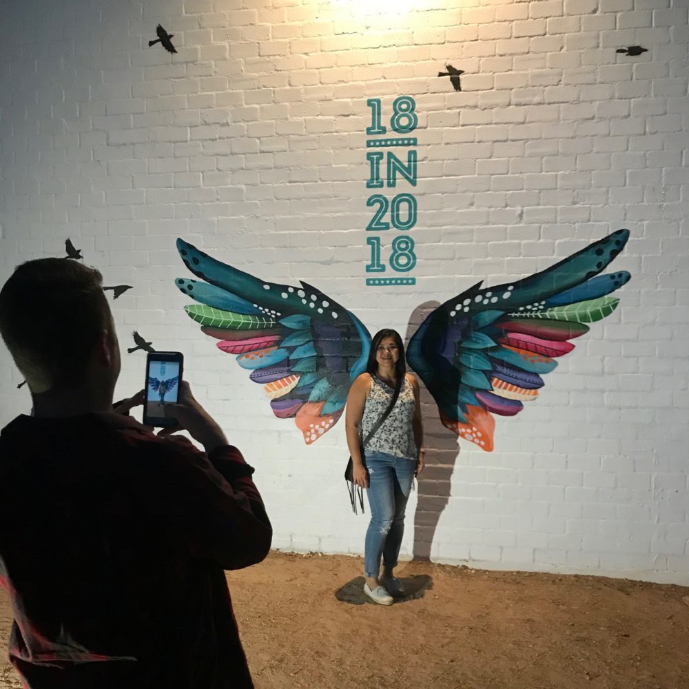 Arizona Citizens Clean Elections Commission - Take Flight Initiative - 18 in 2018