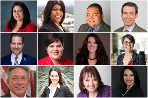 Fellows running for office