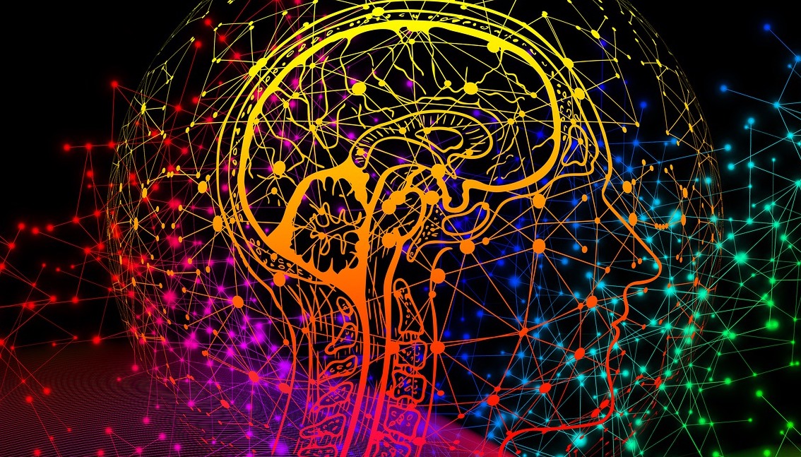 Image of a brain