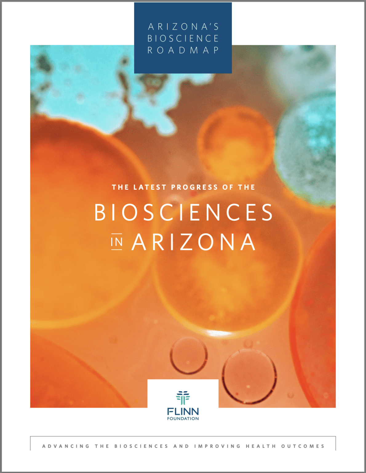 Progress Report Flinn Foundation