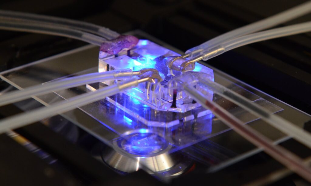Lung on a Chip, Flickr Creative Commons image: https://www.flickr.com/photos/nihgov/27195794031/in/album-72157659401055954